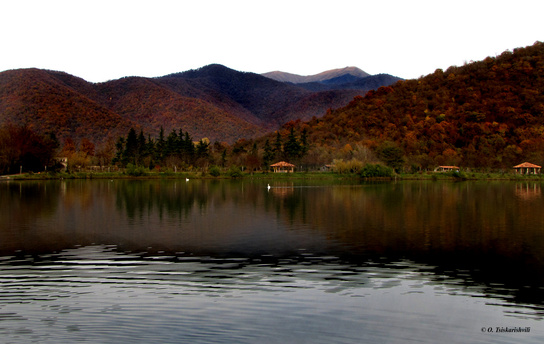 Kakheti – The place to go in autumn geotv.ge